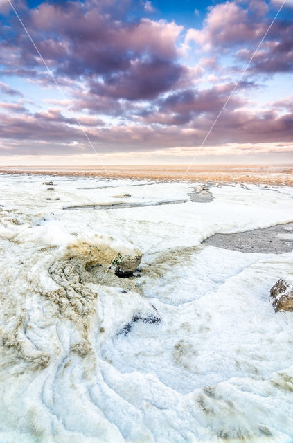 Waddensea