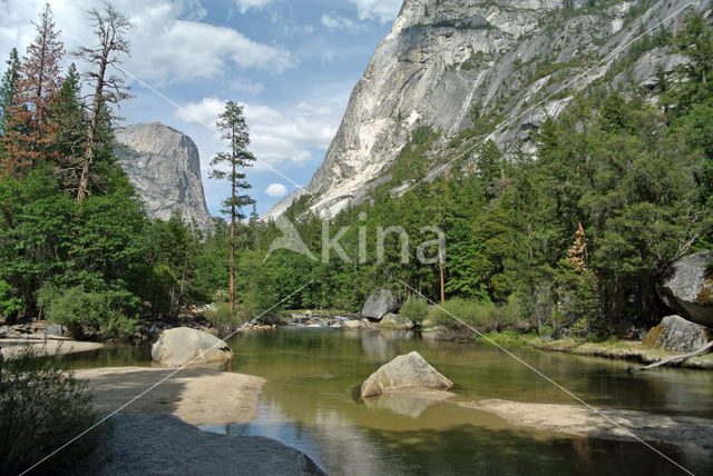 Yosemite National park