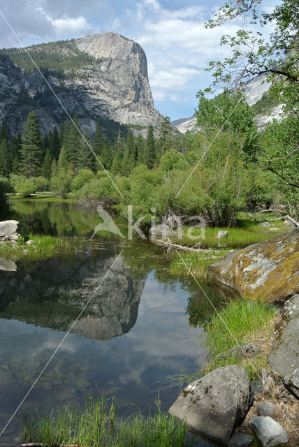 Yosemite National park