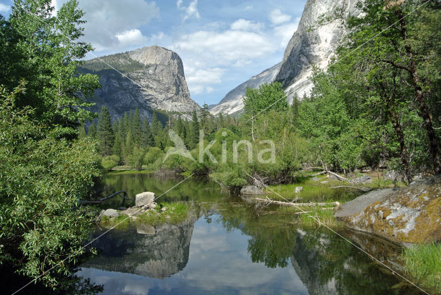 Yosemite National park