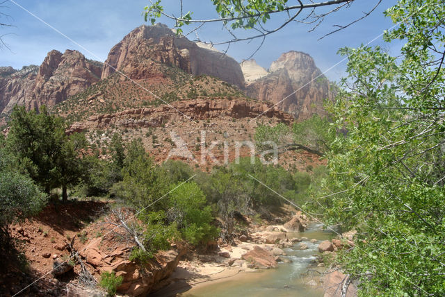 Zion National Park