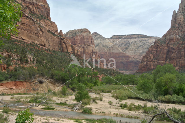 Zion National Park