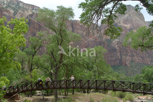 Zion National Park