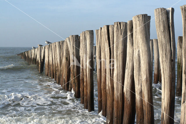 Domburg