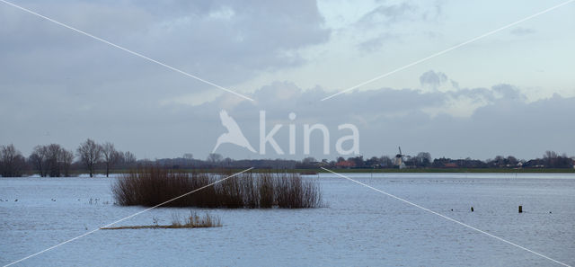 IJssel uiterwaarden