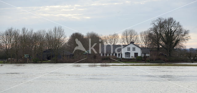 IJssel uiterwaarden