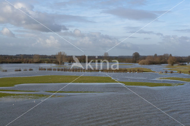 IJssel uiterwaarden