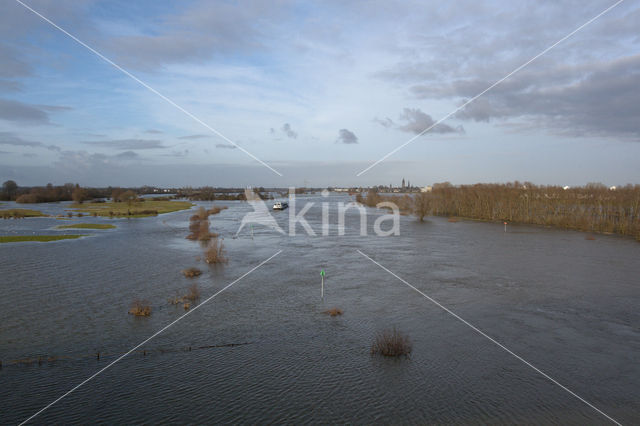 IJssel uiterwaarden