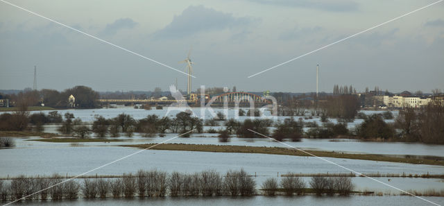 IJssel uiterwaarden