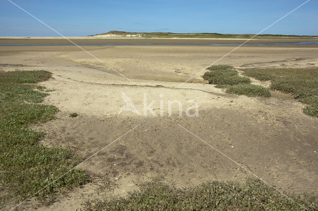 National Park Duinen van Texel