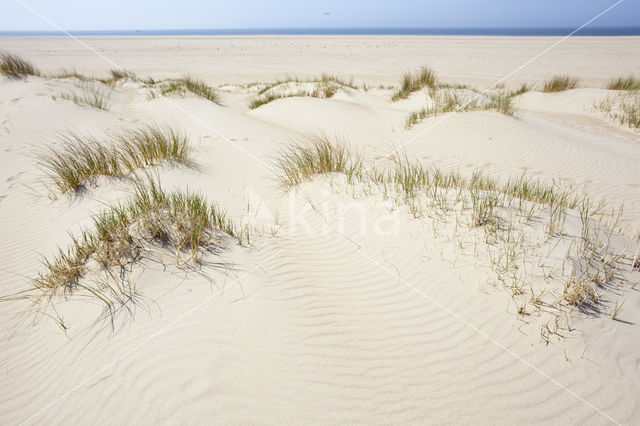 Nationaal Park Duinen van Texel