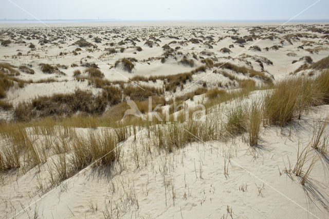 National Park Duinen van Texel