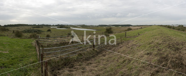 Nationaal Park Oosterschelde