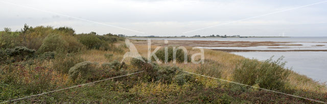 Nationaal Park Oosterschelde