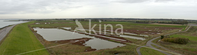 Nationaal Park Oosterschelde