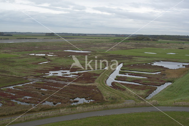 Nationaal Park Oosterschelde