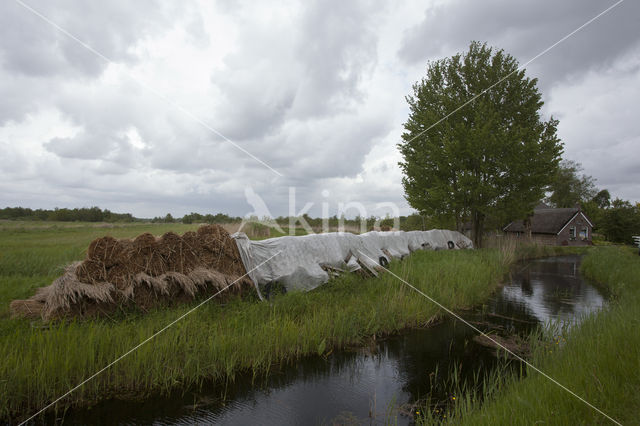 National Park Weerribben-Wieden