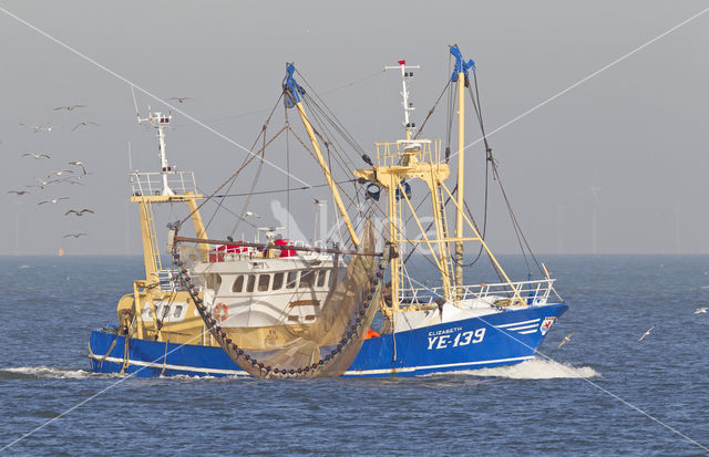 Noordzee