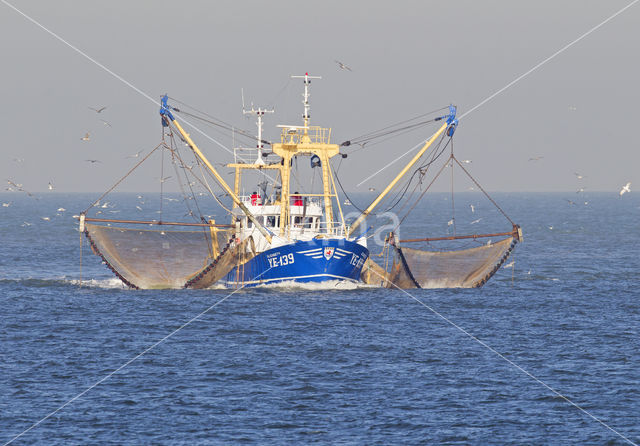 Noordzee