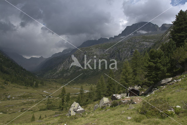 Val di Fumo