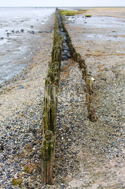 Wadden Sea