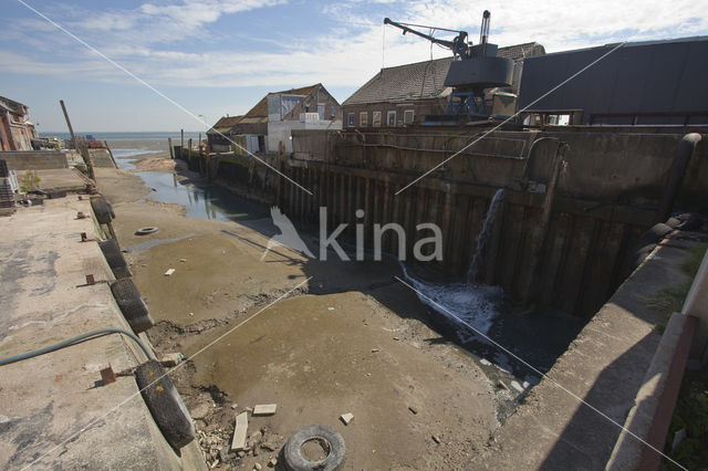 Yerseke fisheryharbour