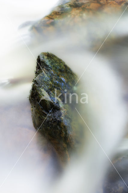 Ardennen