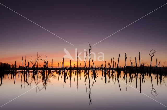 Nationaal Park De Alde Feanen