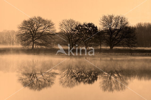 Nationaal park Dwingelderveld