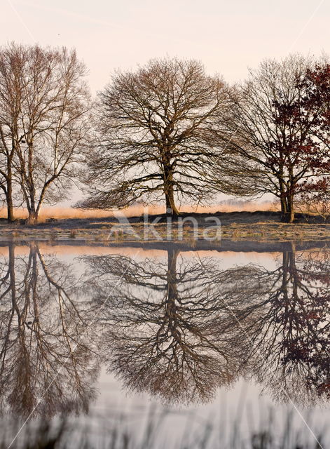 Nationaal park Dwingelderveld