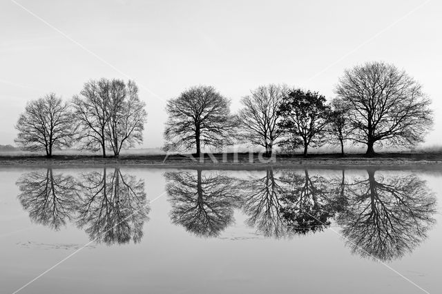 Nationaal park Dwingelderveld