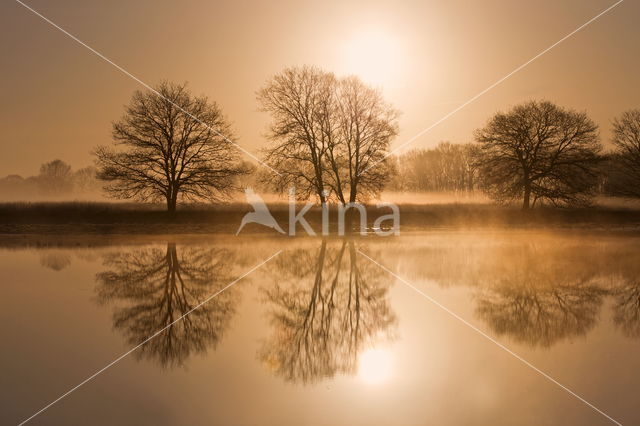 Nationaal park Dwingelderveld