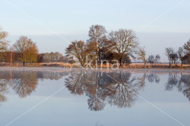 National Park Dwingelderveld