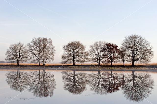 Nationaal park Dwingelderveld