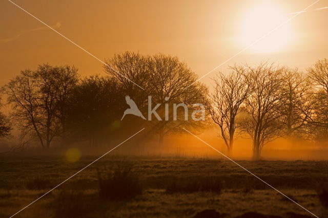 Nationaal park Dwingelderveld