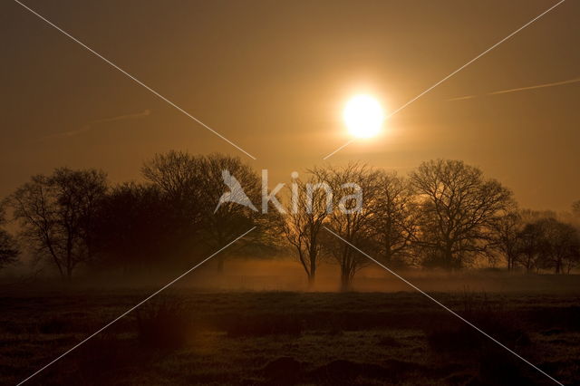 National Park Dwingelderveld