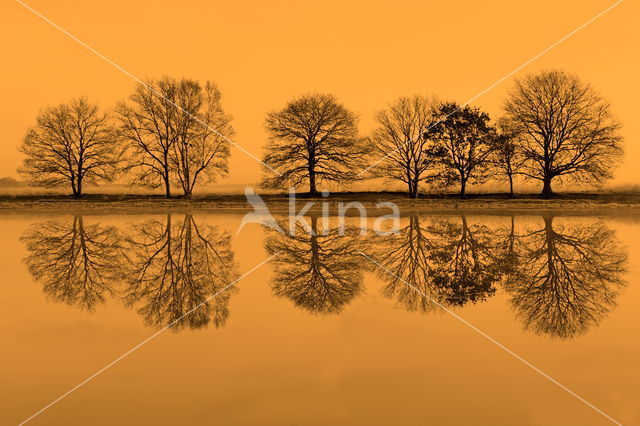 Nationaal park Dwingelderveld