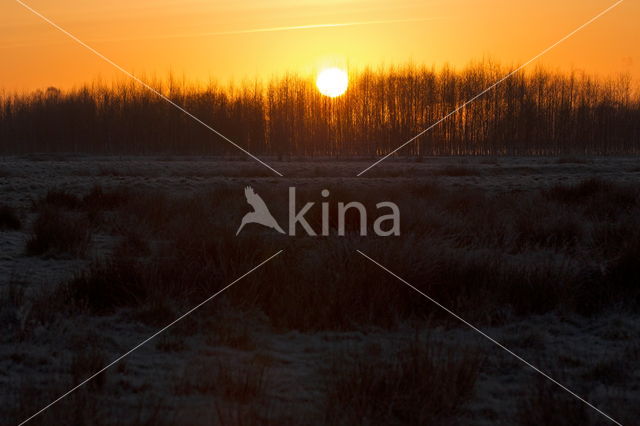 Nationaal park Dwingelderveld