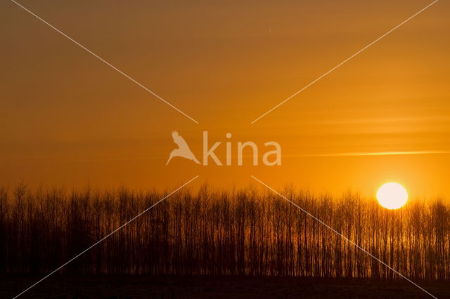 Nationaal park Dwingelderveld