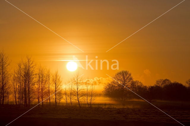 Nationaal park Dwingelderveld