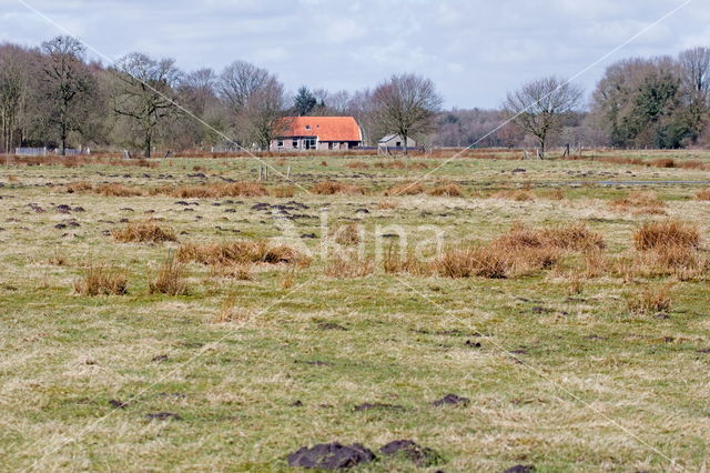 Nationaal park Dwingelderveld