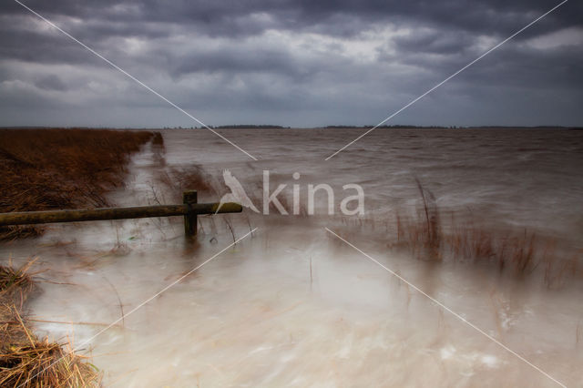 Nationaal Park Lauwersmeer