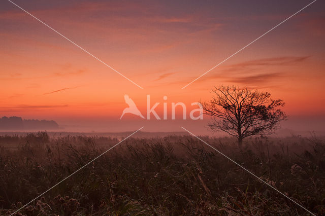 Nationaal Park Lauwersmeer