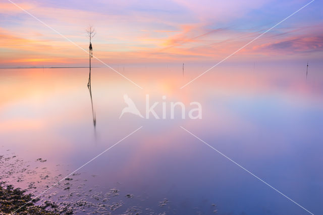 Nationaal Park Oosterschelde