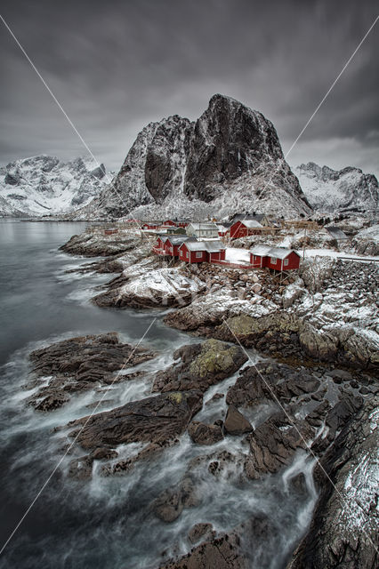 Reine