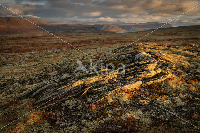 Rondane National Park