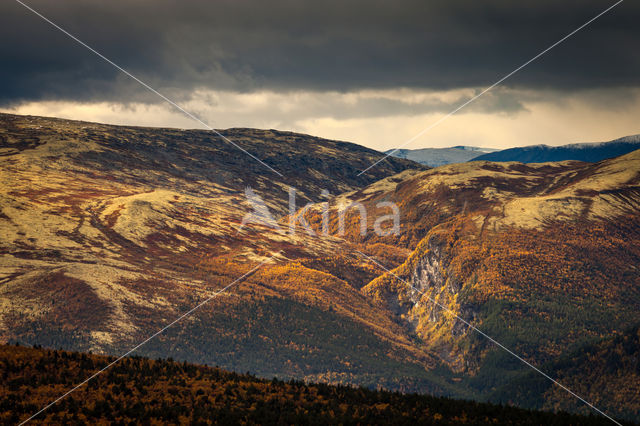 Rondane National Park