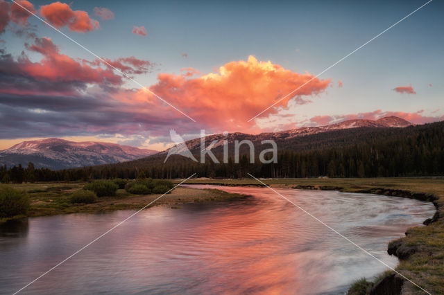 Yosemite National Park