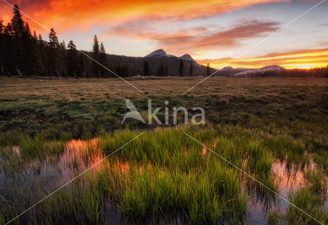 Yosemite National Park