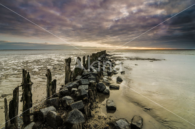 Wadden Sea